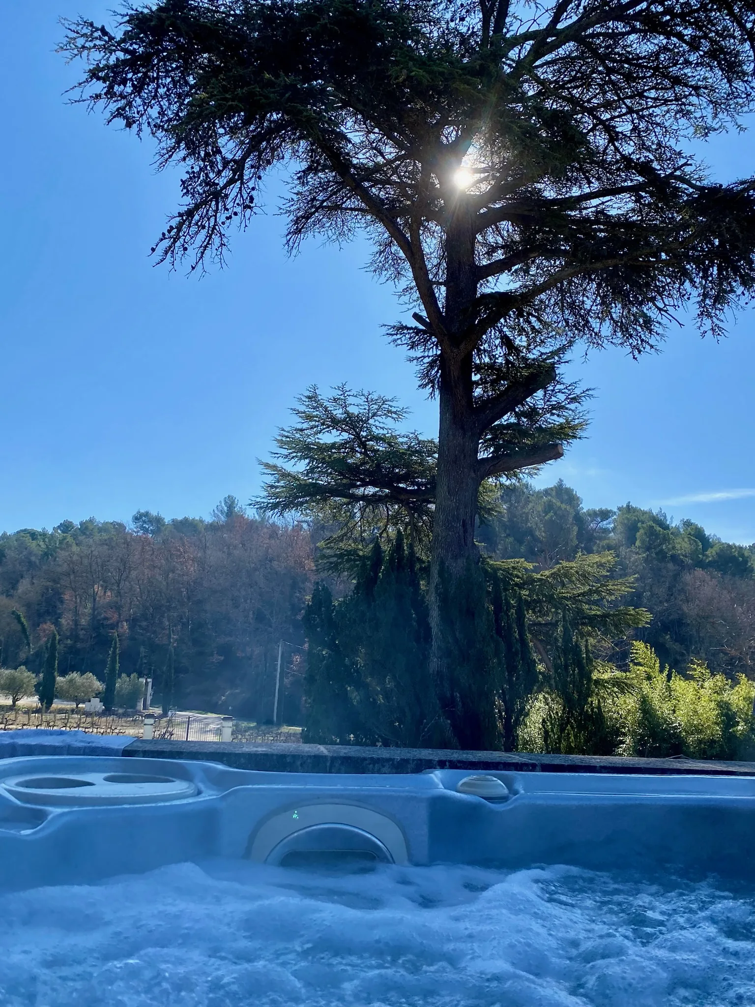 Jacuzzi avec vue sur le grand cèdre