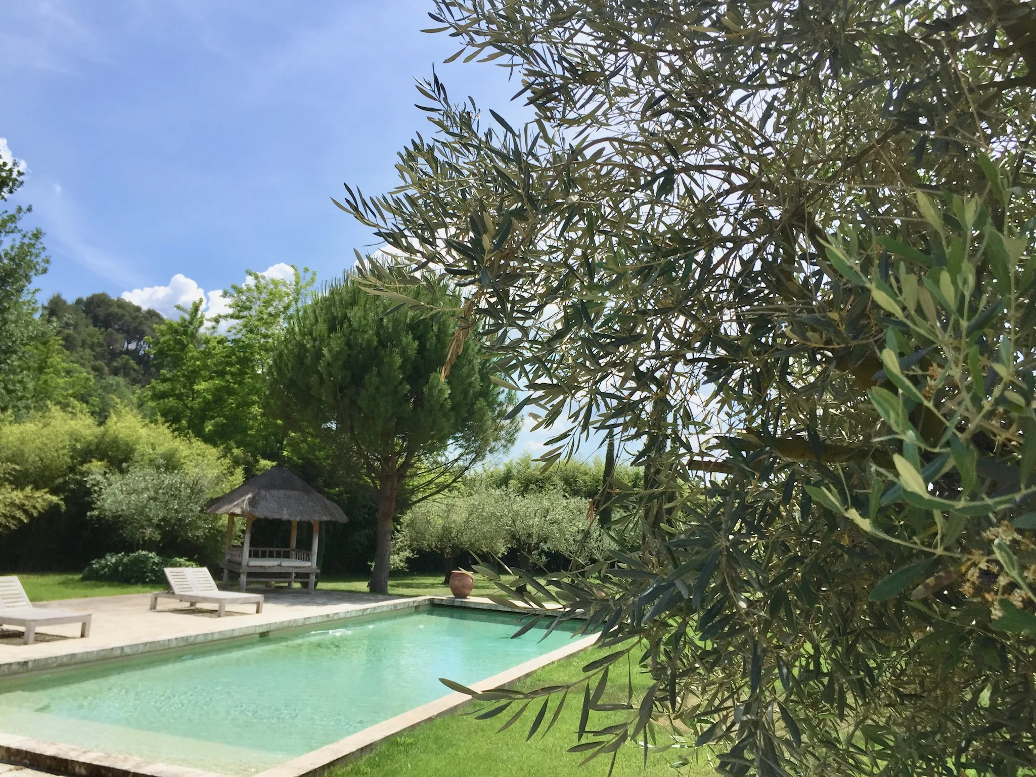 Piscine, olivier et cabane de jardin