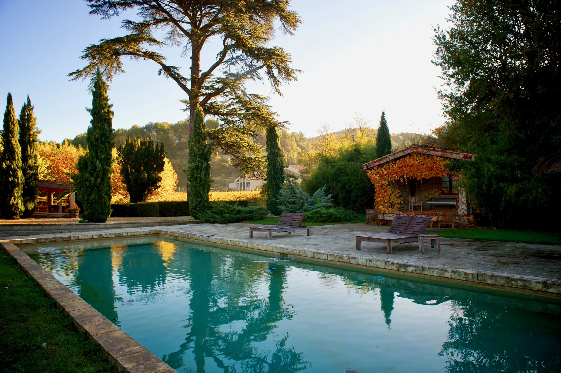 Piscine et cyprès en lumière du soir