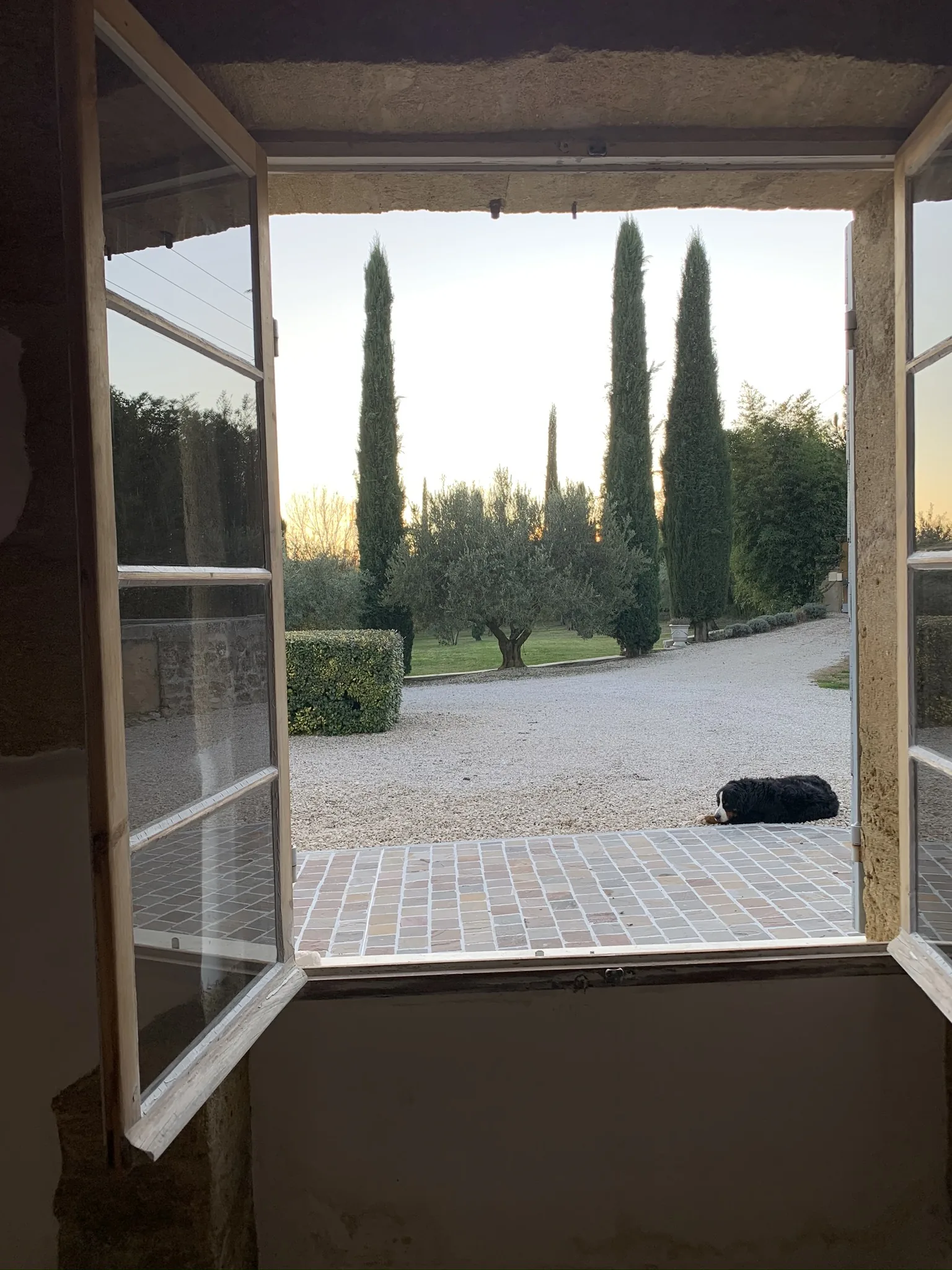 Vue sur les cyprès depuis une fenêtre de la maison