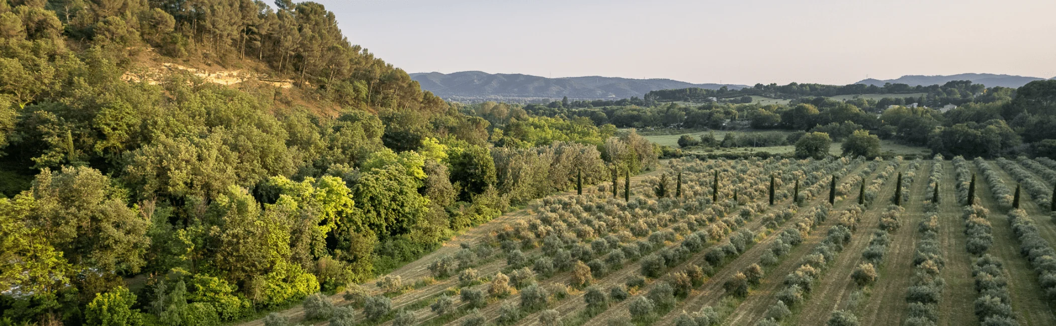 Vue d’ensemble des terres du domaine